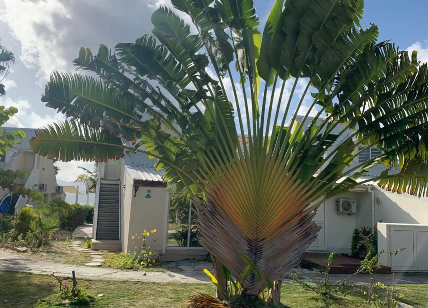 Duplex Luxe Au Nbbc , Les Pieds Dans Le Sable Apartment Sandy Ground